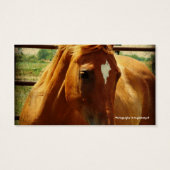 丸いペンでサレル (裏面)