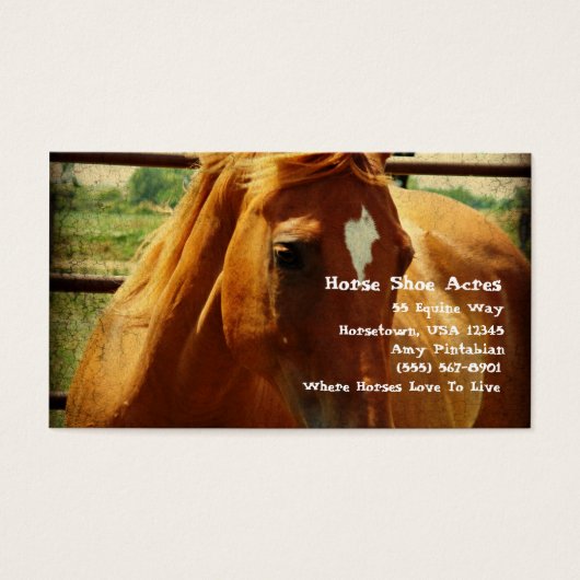 丸いペンでサレル (正面)