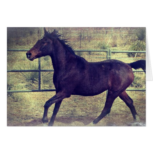 丸いペンホース (正面横)