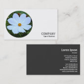 丸い写真 – 白いコスモス 名刺 (正面/裏面)