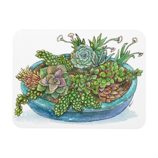 丸い多肉植物の庭 マグネット (横)