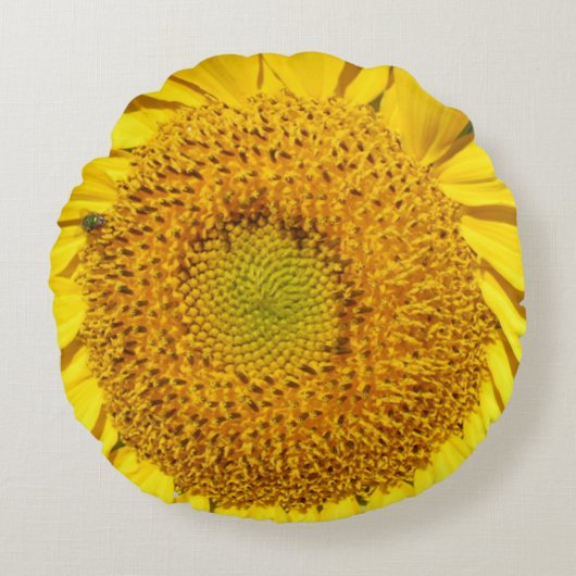 丸い枕 – ひまわりセンター ラウンドクッション (正面)