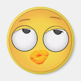 丸い磁石を煮込む マグネット