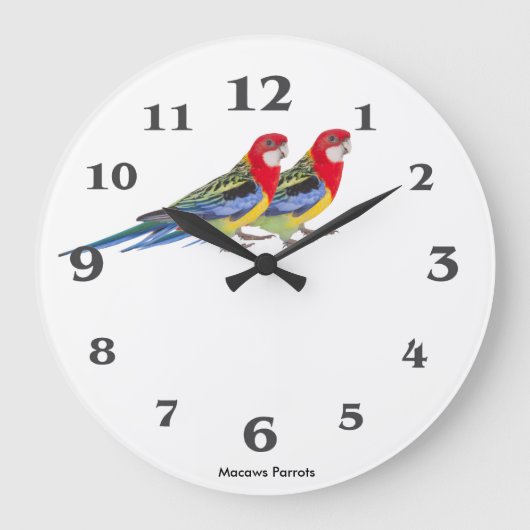 丸い(大きい)壁時計用のオウム画像 ラージ壁時計 (正面)