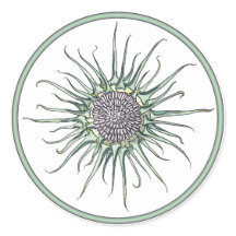 丸とアザラシの花の丸いシール