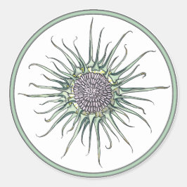 丸とアザラシの花の丸いシール ラウンドシール