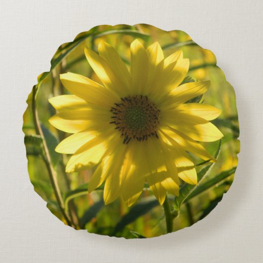 丸ひまわりグローピロー ラウンドクッション (正面)