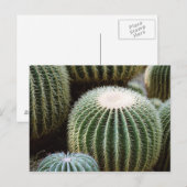 丸サボテン ポストカード (正面/裏面)