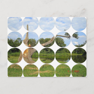 丸フォトポストカード ポストカード