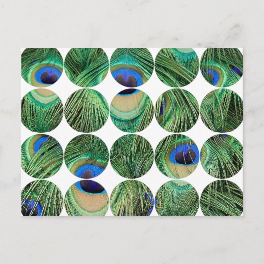 丸フォトポストカード ポストカード (正面)