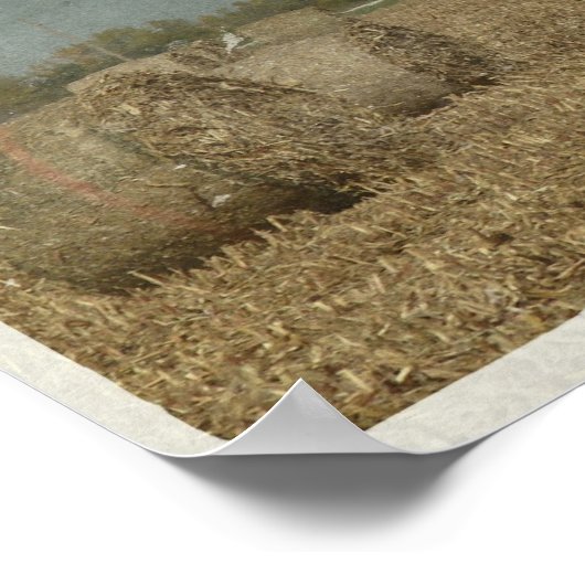 丸俵 ポスター (角)