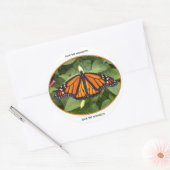 丸光沢ステッカー、(昆虫)オオカバマダラ、モナークスタイル#4a ラウンドシール (封筒)