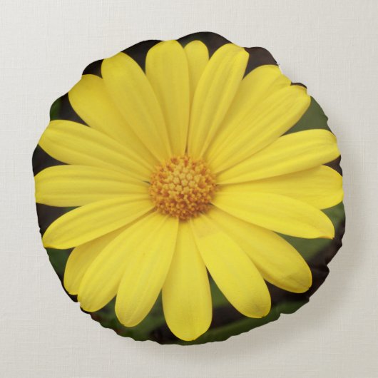 、丸型の花のようなデイジー置いて下さい ラウンドクッション (裏面)