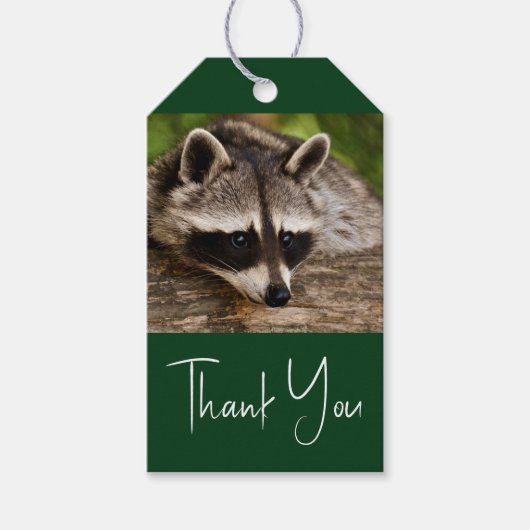 丸太にかわいいタヌキ ギフトタグ (正面)