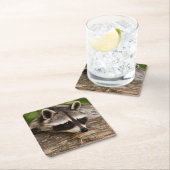 丸太にかわいいタヌキ スクエアペーパーコースター (インサイチュ)