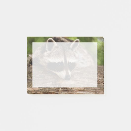 丸太にかわいいタヌキ ポストイット (正面)