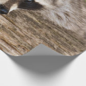 丸太にかわいいタヌキ ラッピングペーパー (角)