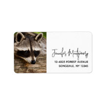 丸太にかわいいタヌキ