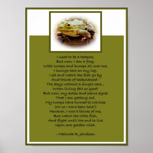 丸太に乗ったカエル ポスター (正面)