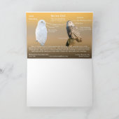 丸太に乗ったスノーフクロウ カード (内部)