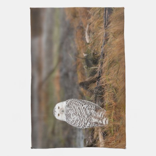 丸太に乗ったスノーフクロウ キッチンタオル (縦)