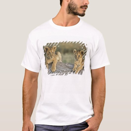 丸太に乗った子ライオン Tシャツ (正面)