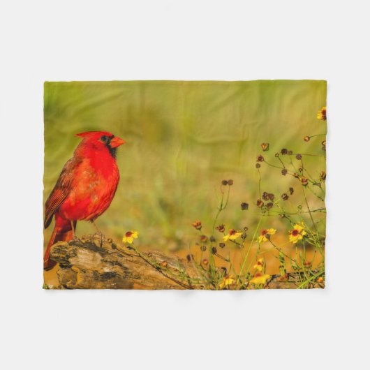 丸太に止まるショウジョウコウカンチョウ フリースブランケット (正面(横))
