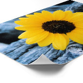 丸太のひまわり ポスター (角)