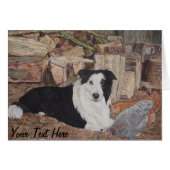 丸太のボーダーコリーは鶏のポートレートと取除きました (正面横)