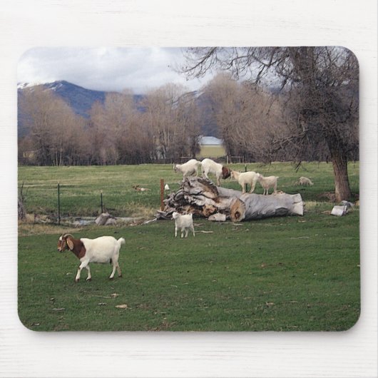 丸太のヤギ マウスパッド (正面)