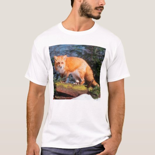 丸太の上のアカギツネ Tシャツ (正面)