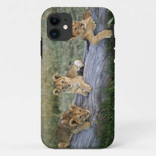 丸太の上の子ライオン iPhone 11 ケース