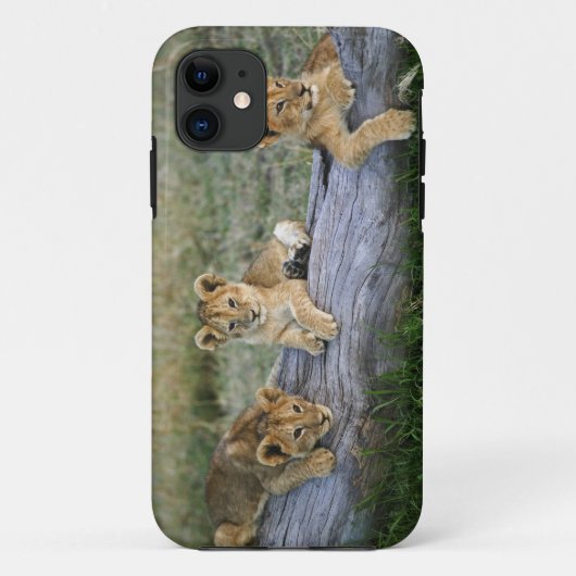 丸太の上の子ライオン Case-Mate iPhoneケース (裏面)