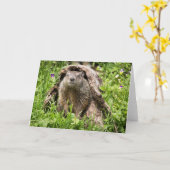 丸太の中に生えた地固め カード (黄色い花)