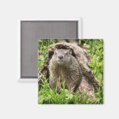 丸太の中に生えた地固め マグネット (正面/裏面)