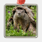 丸太の中に生えた地固め メタルオーナメント (正面)