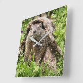 丸太の中のグランドホッグ スクエア壁時計 (傾斜)