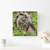 丸太の中のグランドホッグ スクエア壁時計 (ホーム)