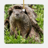 丸太の中のグランドホッグ セラミックオーナメント (裏面)