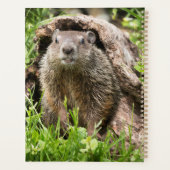 丸太の中のグランドホッグ プランナー手帳 (裏面)