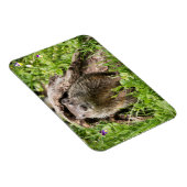 丸太の中のグランドホッグ マグネット (右側)