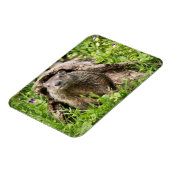 丸太の中のグランドホッグ マグネット (左側)