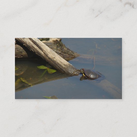 丸太の小さな亀 名刺 (裏面)