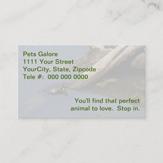 丸太の小さな亀 名刺 (正面)