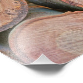 丸太の山 フォトプリント            (角)