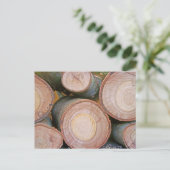 丸太の山 ポストカード (スタンド正面)