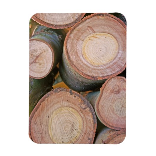 丸太の山 マグネット (縦)