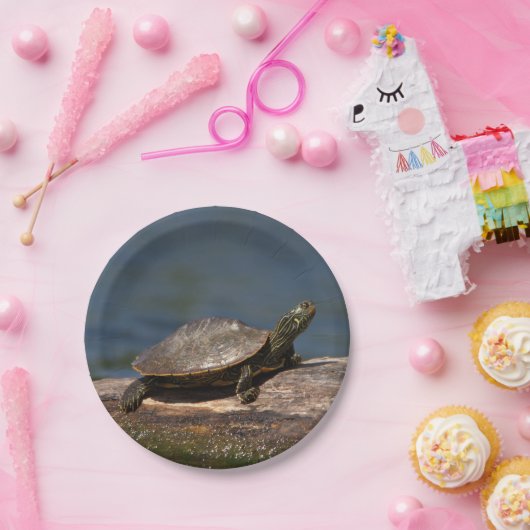 丸太の色彩の鮮やかなカメ ペーパープレート (パーティー)