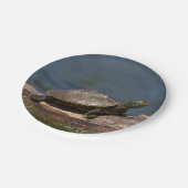 丸太の色彩の鮮やかなカメ ペーパープレート (アングル)