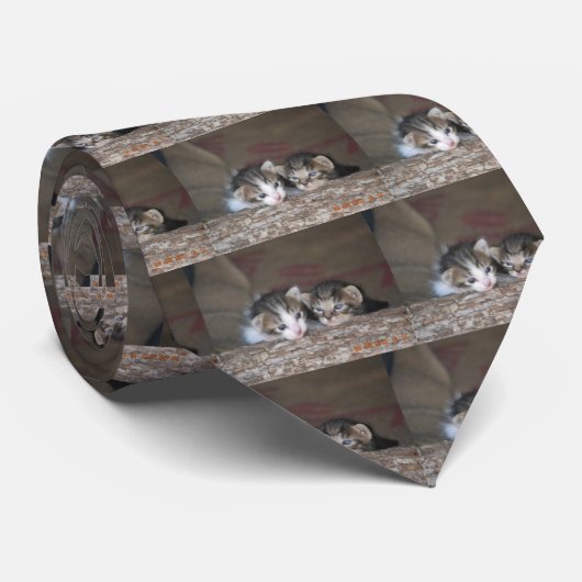 丸太の2匹の子ネコ ネクタイ (ロール)